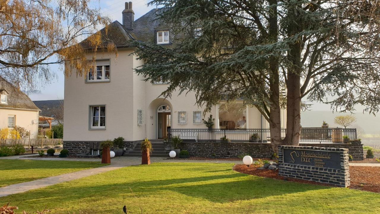 "Reh"-Sidenz Moselschleife Apartment Leiwen Bagian luar foto